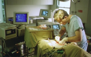 Michael Neale (surgeon) (1992?)