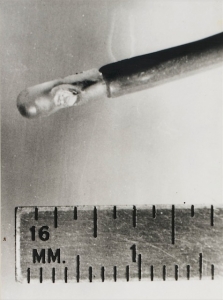 Intracardiac probe used in animal research (1964)