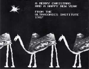 1987 dual transducer scans of kidney