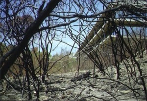 Chatswood building after bushfires