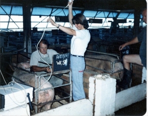 Sue Campbell-Westerway, scanning a pig (1982)