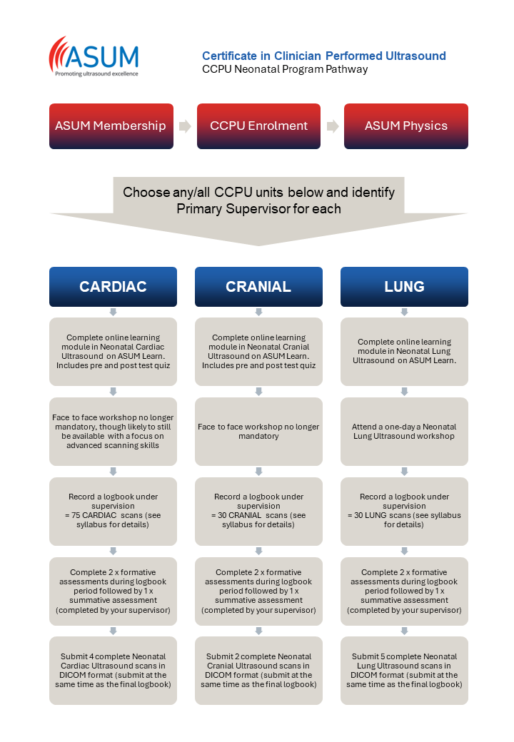 Pathways Pop Out Diagram
