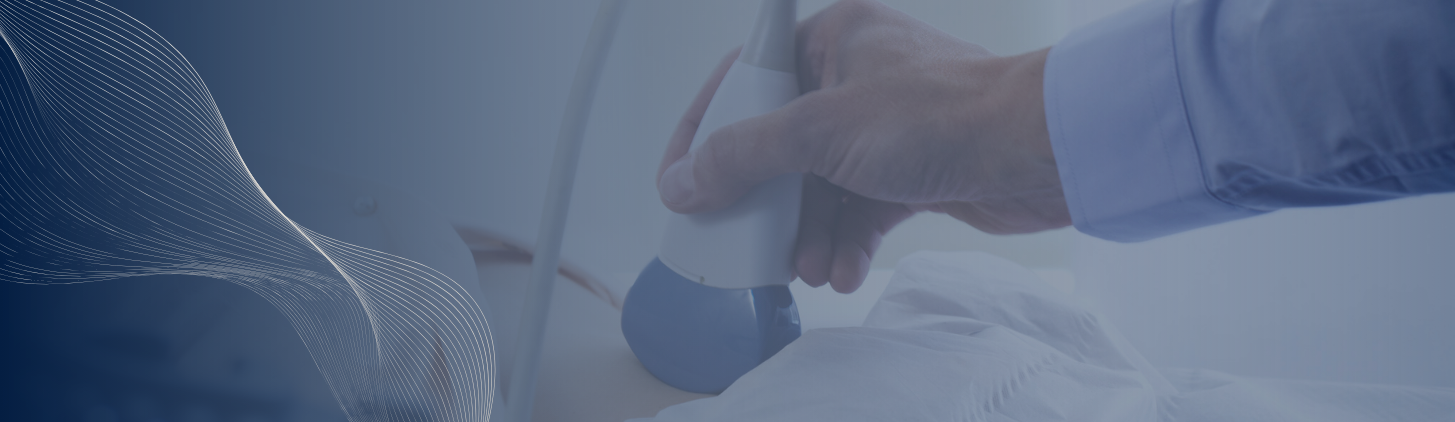 2025 HOMEPAGE HEADER