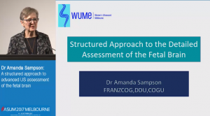 A structured approach to advanced US assessment of the fetal brain - Dr Mandy Sampson