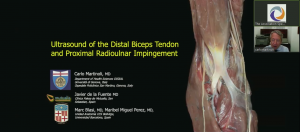 Ultrasound of the Distal Biceps Tendon and Proximal Radioulnar Impingement - Prof Carlo Martinoli