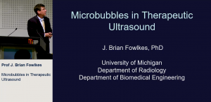 Microbubbles in therapeutic ultrasound - Prof J. Brian Fowlkes