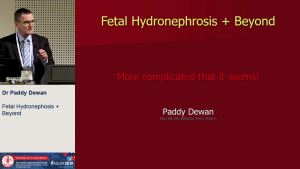 Fetal and neonatal US – what does the clinician need to know? - Dr Paddy Dewan