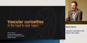 Vascular curiousities in the head and neck region - Martin Necas