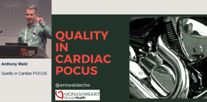 Ensuring quality in point of care echocardiography - Anthony Wald