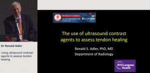 Using ultrasound contrast agents to assess tendon healing - Dr Ronald Adler