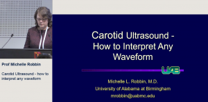 Carotid Ultrasound - how to interpret any waveform - Prof Michelle Robbin