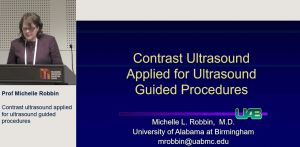 Contrast ultrasound applied for ultrasound guided procedures - Prof Michelle Robbin